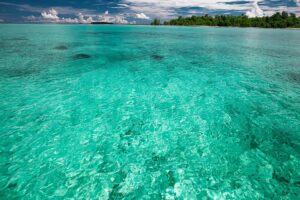 the-shallow-sea-2252940_1280