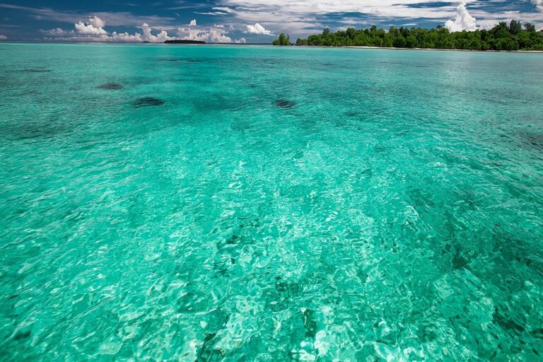 the-shallow-sea-2252940_1280