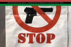 TO STOP GUN VIOLENCE, USE ECONOMIC TOOLS