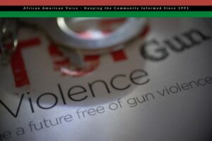 ECONOMIC VIOLENCE AND THE SAFER AMERICA PLAN