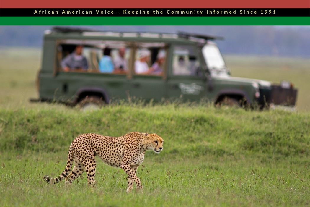 The Time To Indulge In The Perfect Safari Is Now