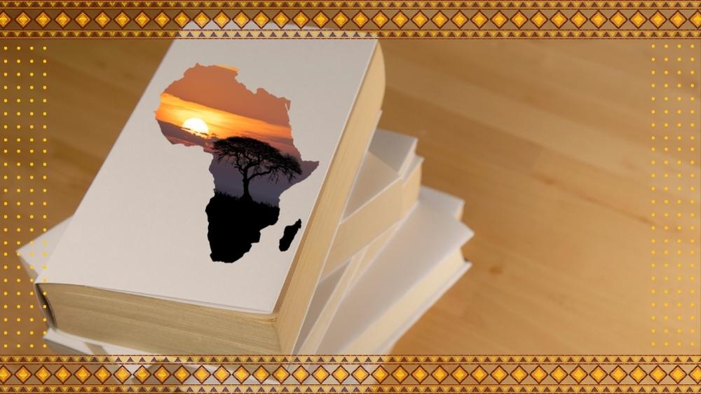 Book Review: A Brick By Brick View Of Africa