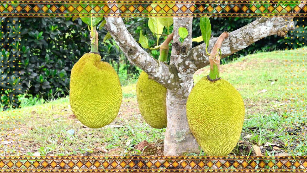 The Little-Known Jackfruit Trade Is Earning Rural Ugandan Farmers Nearly 20 Percent Of Yearly Income
