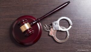 African American Voice_20241104_022816_0000